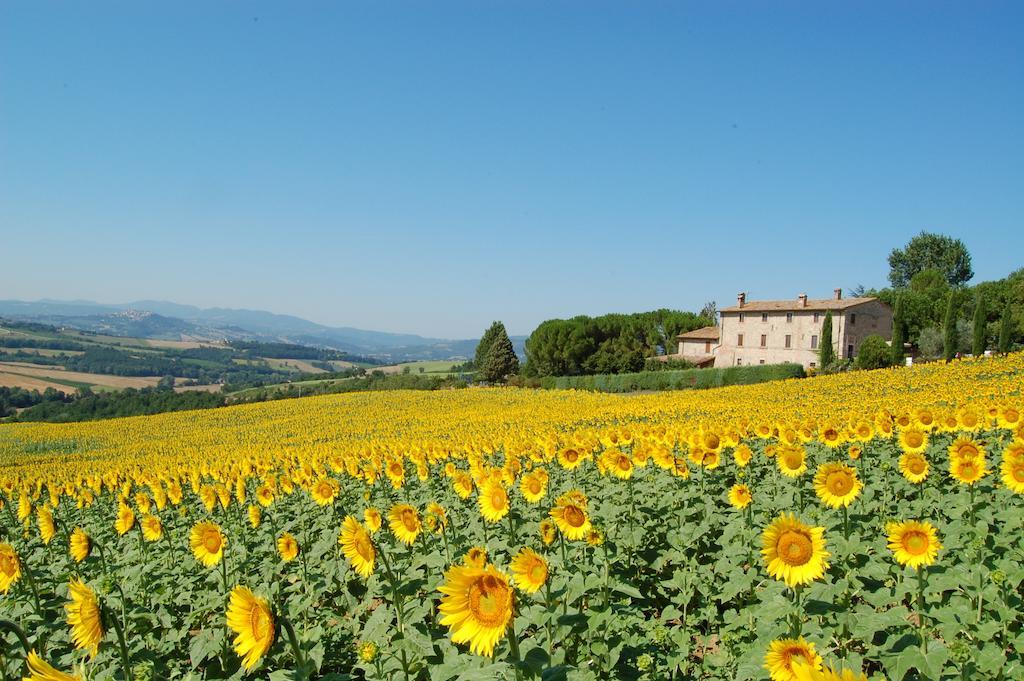 Agriturismo Casale Dei Frontini San Terenziano Kültér fotó