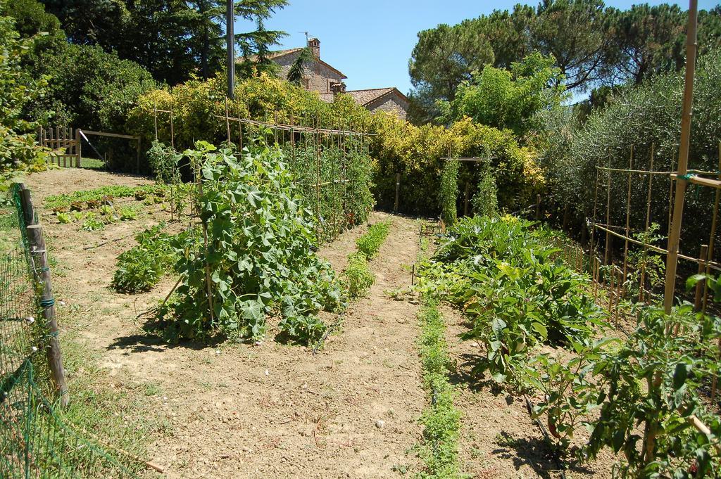 Agriturismo Casale Dei Frontini San Terenziano Kültér fotó