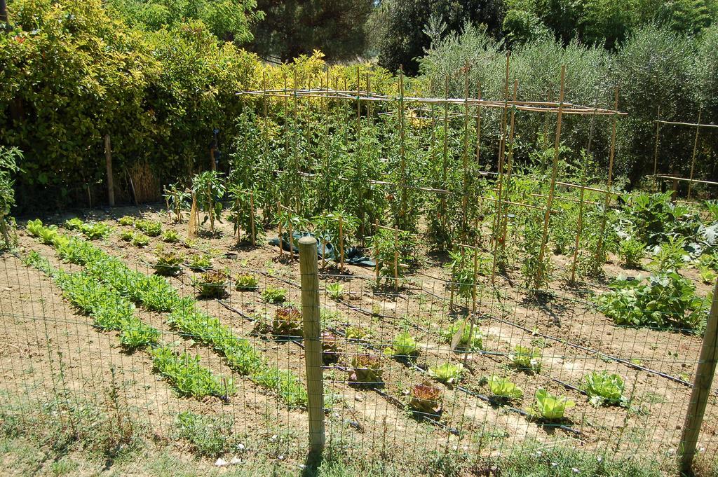 Agriturismo Casale Dei Frontini San Terenziano Kültér fotó