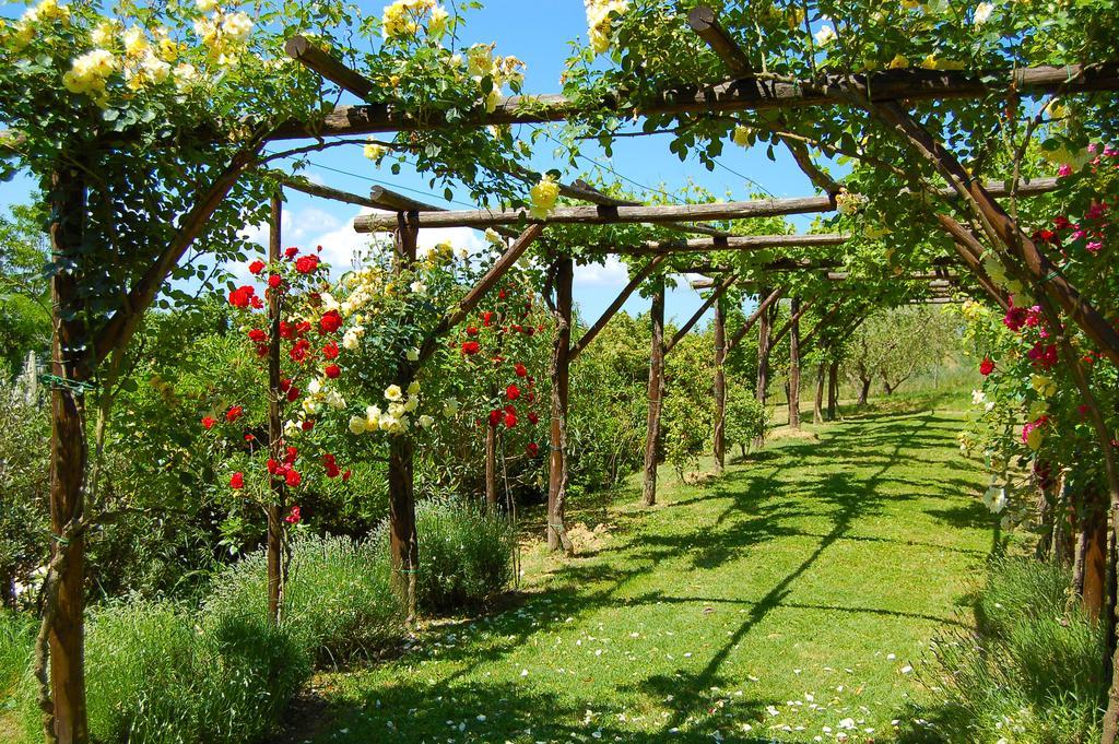 Agriturismo Casale Dei Frontini San Terenziano Kültér fotó
