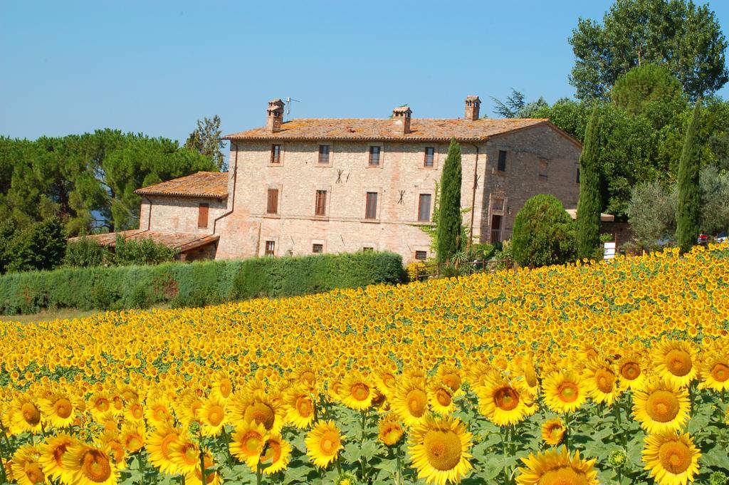 Agriturismo Casale Dei Frontini San Terenziano Kültér fotó