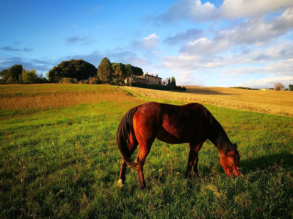 Agriturismo Casale Dei Frontini San Terenziano Kültér fotó