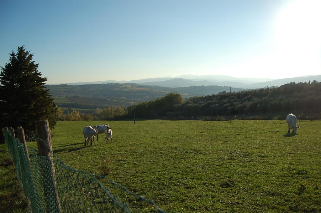 Agriturismo Casale Dei Frontini San Terenziano Kültér fotó