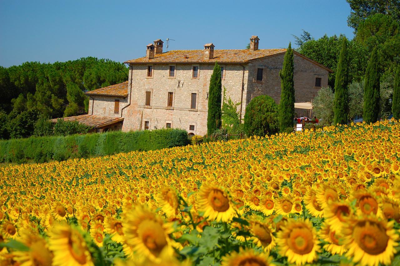Agriturismo Casale Dei Frontini San Terenziano Kültér fotó